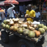 Lapte de cocos proaspat